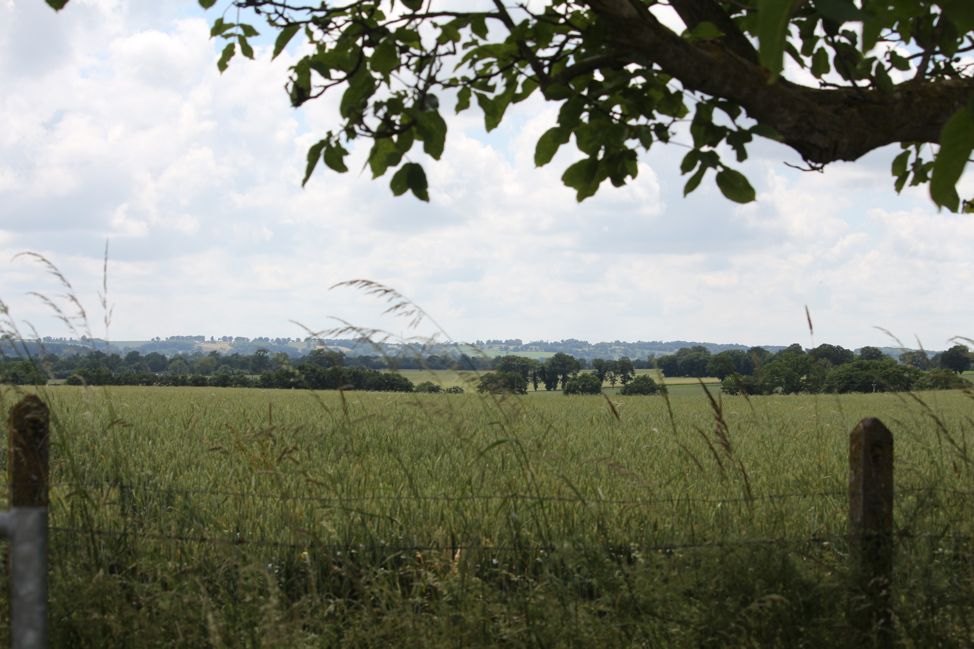 Scienic View towards Lassay