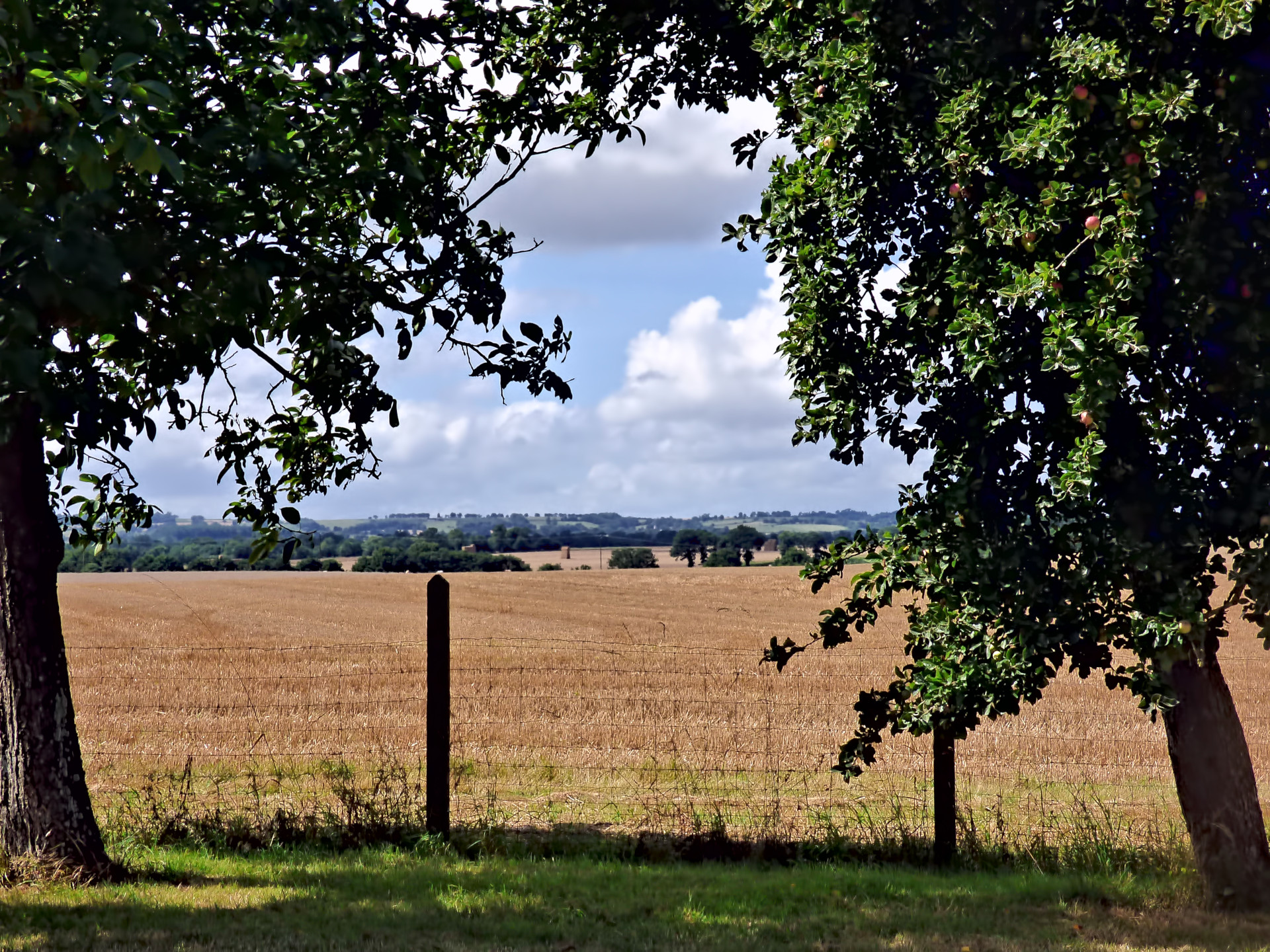 Scienic View