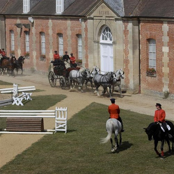 Haras du Pin  -  60 km