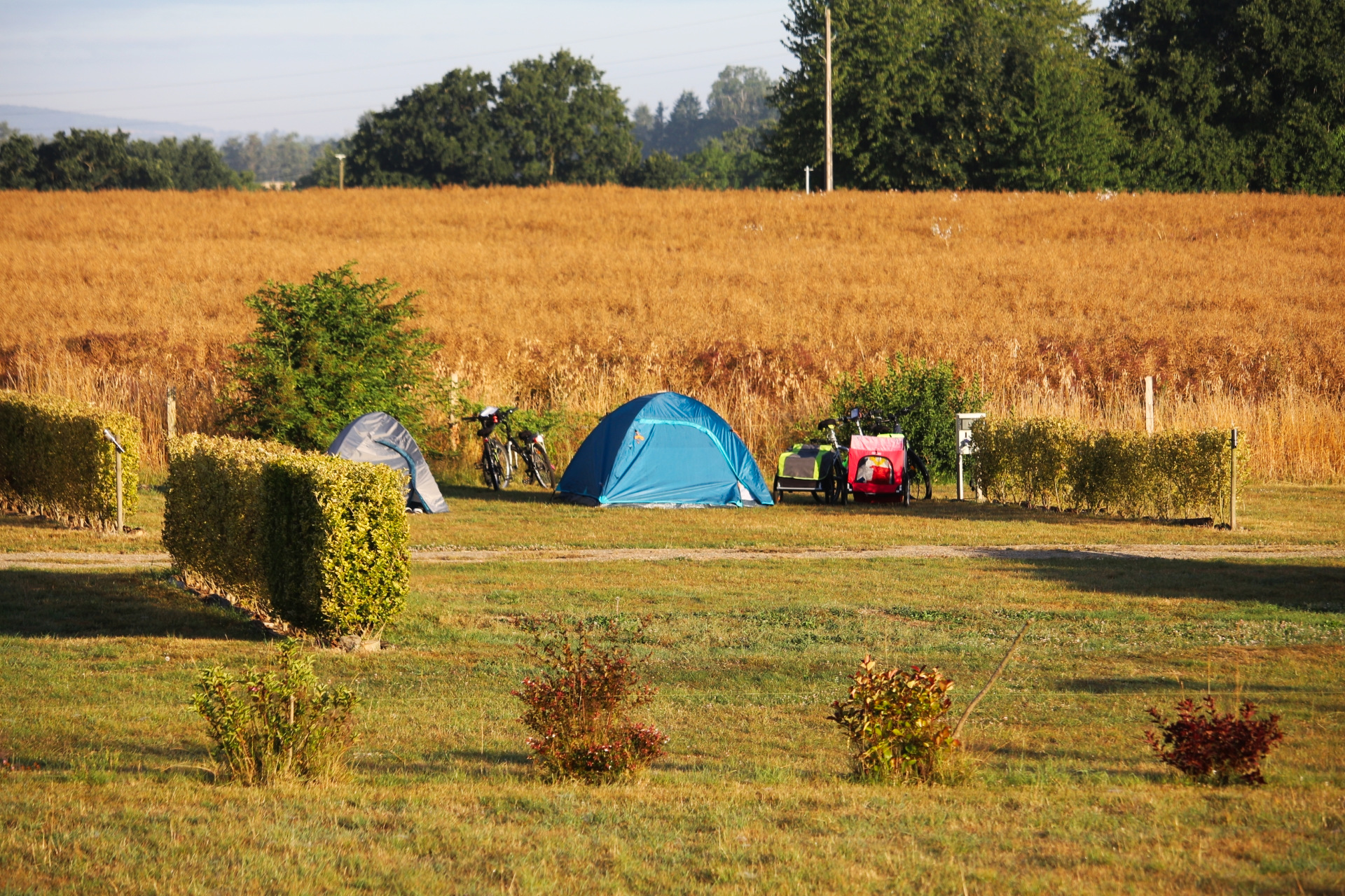 Camping Pitches